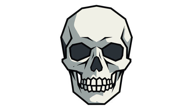 Human skull front view illustration with detailed bone structure and shadows isolated on a white background.