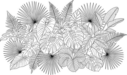 Tropical plant leaves arrangement sketch with monstera palm fern and philodendron for architectural landscape design illustration © Beauty
