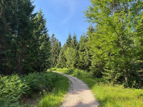 Hiking trails and Walking paths in the Black Forest Middle-North Nature Park, Germany - Wanderwege und Spazierwege im Naturpark Schwarzwald Mitte-Nord, Deutschland - Sentiers de randonn&eacute;e et chemins