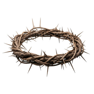 A weathered crown of dark, gnarled wood branches with sharp thorns, intricately woven, centered on a transparent studio background with high-key lighting, stark symbolic concept