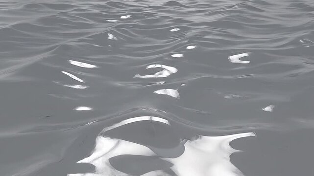 Abstract grey liquid water surface waving with gentle ripples and silver reflections for minimal background loop