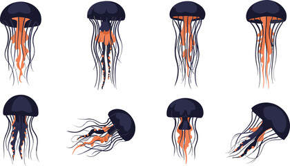 Collection of eight dark blue and orange jellyfish in various poses and orientations marine life sea creature © MdMirajul