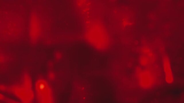Large Ruby Crystal Block Swirling in Deep Red Water - Prismatic Refraction Motion Background⁠