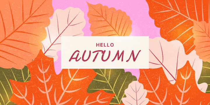 Hello Autumn Vector Banner with close up maple, aspen, oak leaves and text. Vector design