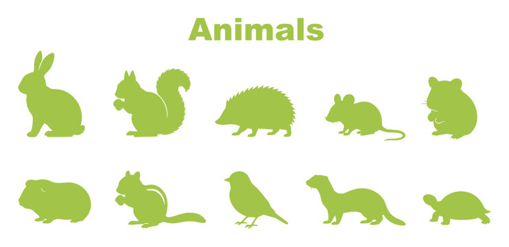 小動物シルエットセット｜Small Animal Silhouette Collection | Rabbit, Squirrel, Hedgehog, Hamster, Mouse, Bird, Ferret & Turtle
