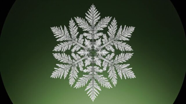 Realistic Snowflake Crystal Formation Animation with Intricate Ice Growth Pattern on Green Background Macro Winter Science