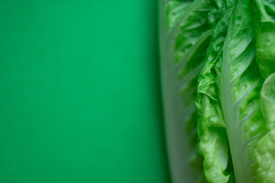 Fresh crisp romaine lettuce leaves on green background