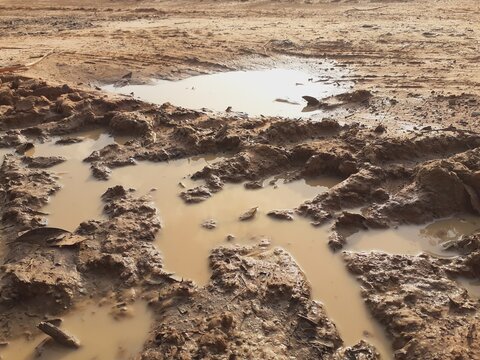 Tire tracks on a muddy dirt road after the rain.