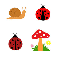 1807 Ladybug - 7 © OniHadi