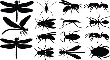 Black insect silhouettes set featuring dragonflies, ants, wasps, and beetles isolated on white background © Zinnah