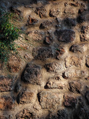 Fototapeta premium Ancient rustic stone masonry wall background with green plant and shadows