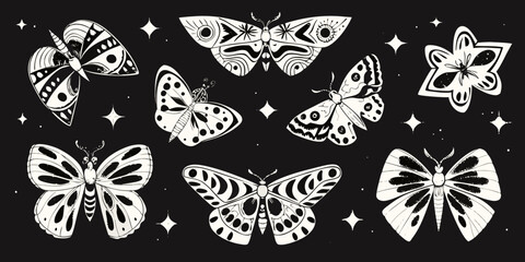 Butterfly Collection Black And White Vector Illustration With Decorative Elements © gita