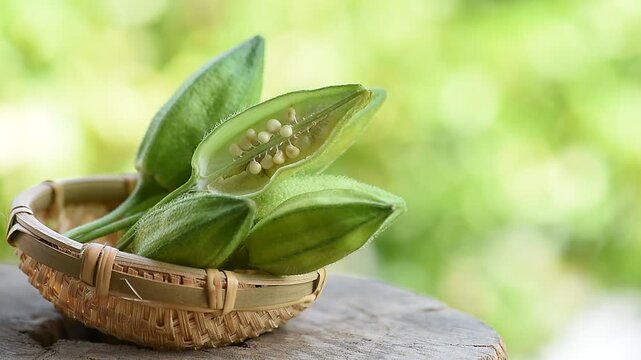 Abelmosk or Abelmoschus moschatus, fresh pods and seeds on natural background.