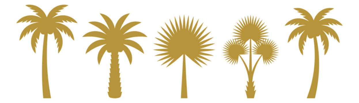 Silhouette icon set of 5 palm trees featuring tropical and exotic species including fan palms and coconut palms for summer design