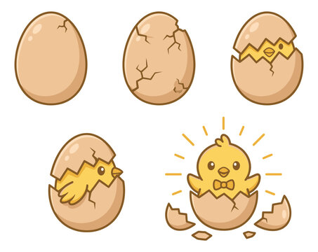 Cartoon set of 5 hatching chick stages depicting egg cracking and baby bird emerging for Easter and nature design