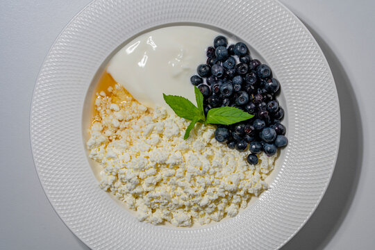 Nutritious morning meal of organic cottage cheese served with Greek yogurt fresh sweet blueberries, honey and mint leaf on white plate, closeup. High protein dairy dessert for healthy lifestyle