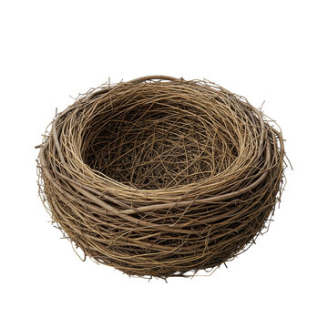 An empty circular bird's nest of weathered brown twigs and golden grass on a uniform transparent background in a studio setting. concept of natural architecture