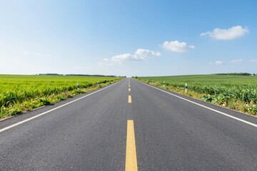 Fototapeta premium Straight Road Leads to a Vibrant Horizon