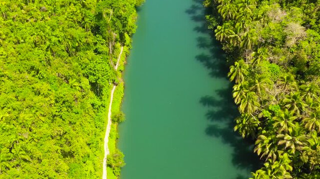 Green tropical forest and the blue river. Loboc River in the jungle. Bohol, Philippines.