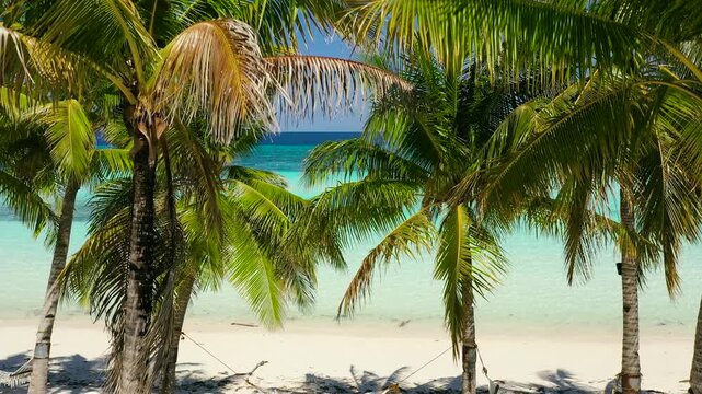 Tropical sandy beach with hammock, palm trees and turquoise clear waters. Panglao island, Bohol, Philippines.