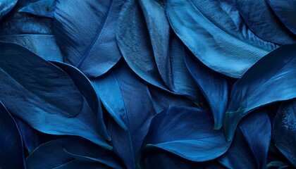 Obraz premium Dark Serene Blue Wallpaper Texture