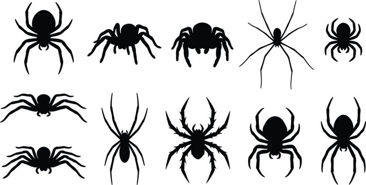 Spider Silhouette Collection Set with Black Arachnid Vector Bundle Isolated on White Background