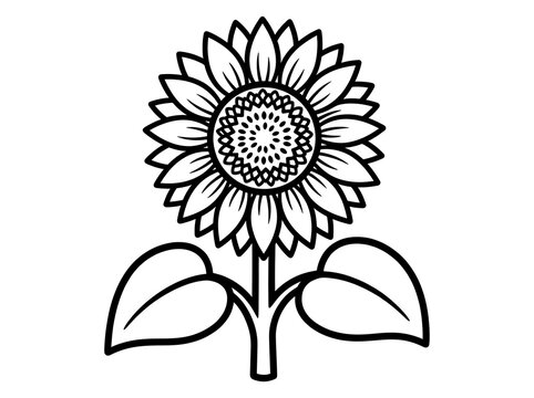 Sunflower Icon with Bold Outline, Simple Leaf Shapes and Intricate Circular Center for Floral Design and Branding