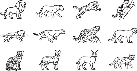 Set of black and white line depicting various species of wild cats in different poses and natural environments and actions © RobiulIslam