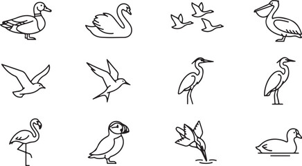 Obraz premium Set of simple black and white line depicting various species of water birds and aquatic animals in different poses and actions