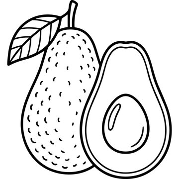 Whole and halved avocado line art set.