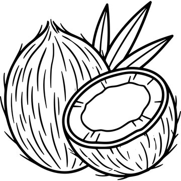 Whole and sliced coconut fruit line art.