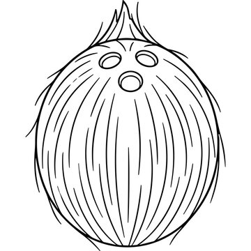 Whole coconut shell outline illustration.