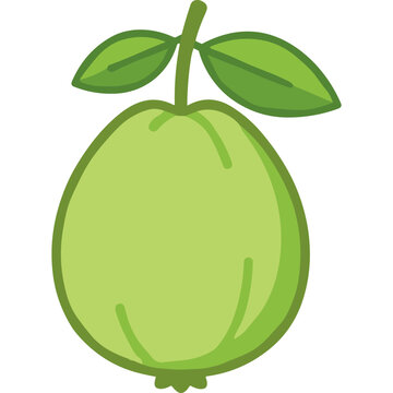 Whole green guava with leaves.