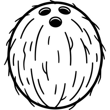 Whole coconut shell tropical fruit line art.