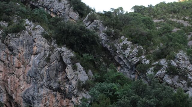 Steeply tilted Cretaceous limestone strata shaped by the Pyrenean orogeny in Collegats Gorge, Catalonia, Spain.