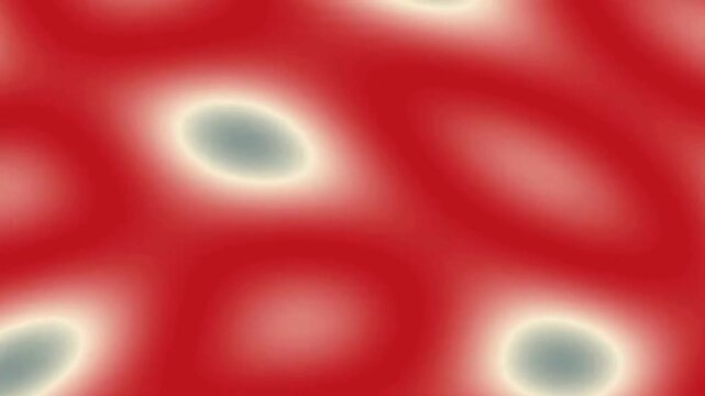 Biological Cells in Focus from Visible Microscope View