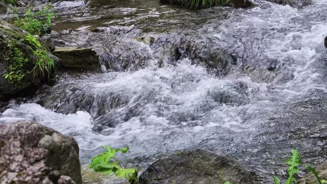 東京都檜原村の清流　南秋川