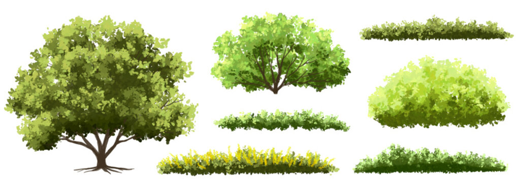 Vector of tree, grass or green shrub site view isolated on white background ,watercolor tree elevation for landscape concept,environment panorama scene,eco design,meadow for spring