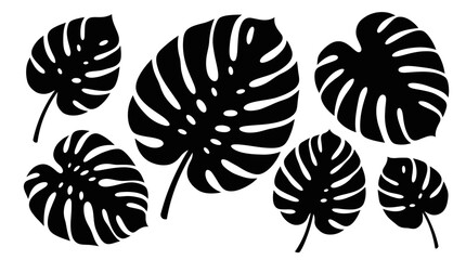 Set of black monstera tropical leaves silhouettes isolated on a white background. © Abhinaya Project