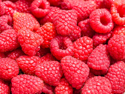 Full-Frame Close-Up of Fresh Ripe Raspberries