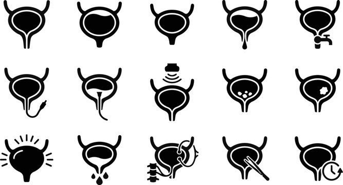 Bladder anatomy and medical procedures icon set vector illustration