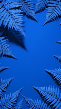 palm leaf background