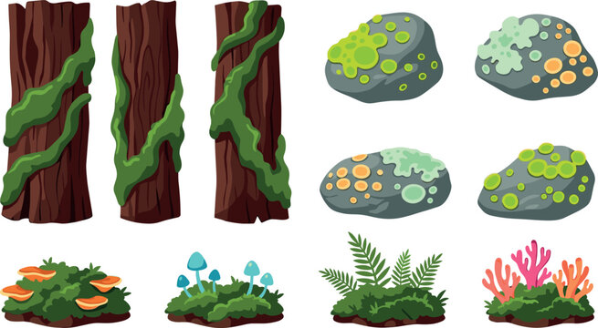 Forest wood bark textures and rocks set featuring green moss creepers orange lichen blue mushrooms ferns and colorful coral plants.