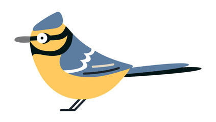 Flat vector illustration of a blue tit bird. Colorful garden songbird isolated for wildlife, birdwatching, forest and nature themed designs © WinWinFolly
