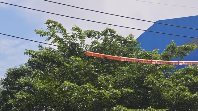 Panning right video of an orange insulated safety guard on high voltage overhead power lines near trees against a blue sky for trimming protection.