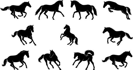 Fototapeta premium Silhouette collection of horses in motion including running, trotting, rearing, and jumping with dynamic equine poses