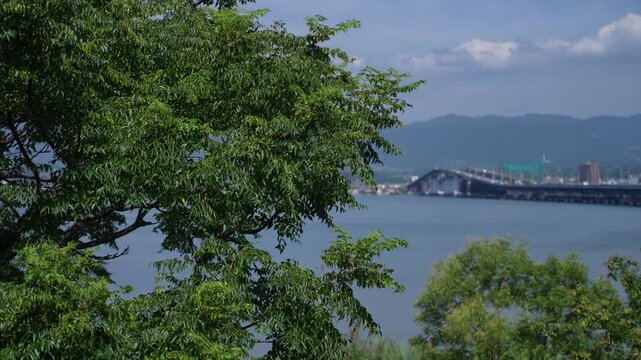 滋賀県・琵琶湖大橋の夏の風景