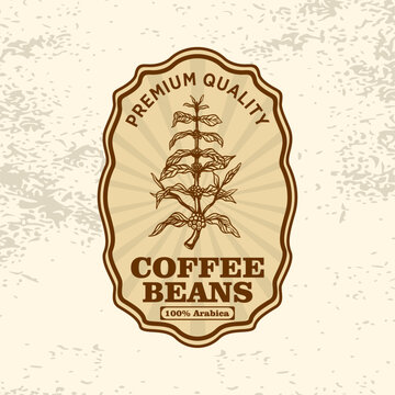 Coffee Plant Packaging Label Retro Vector