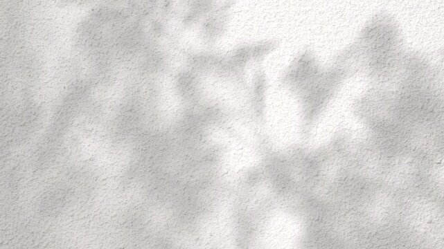 Nature tree branches shadow sunlight shade movement motion on white wall 3d rendering