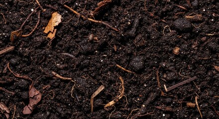 Fototapeta premium Macro view of rich dark topsoil filled with organic nutrients, showcasing a fertile environment ready for a bountiful agricultural harvest, land, cultivation, garden